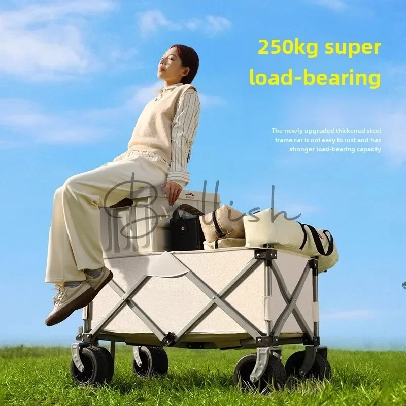 Chariot de camping pliable pou - Outdoor Camping Trolley avis et prix